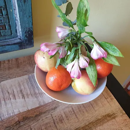 Bed & Bye Schiphol Ubytování v soukromí *